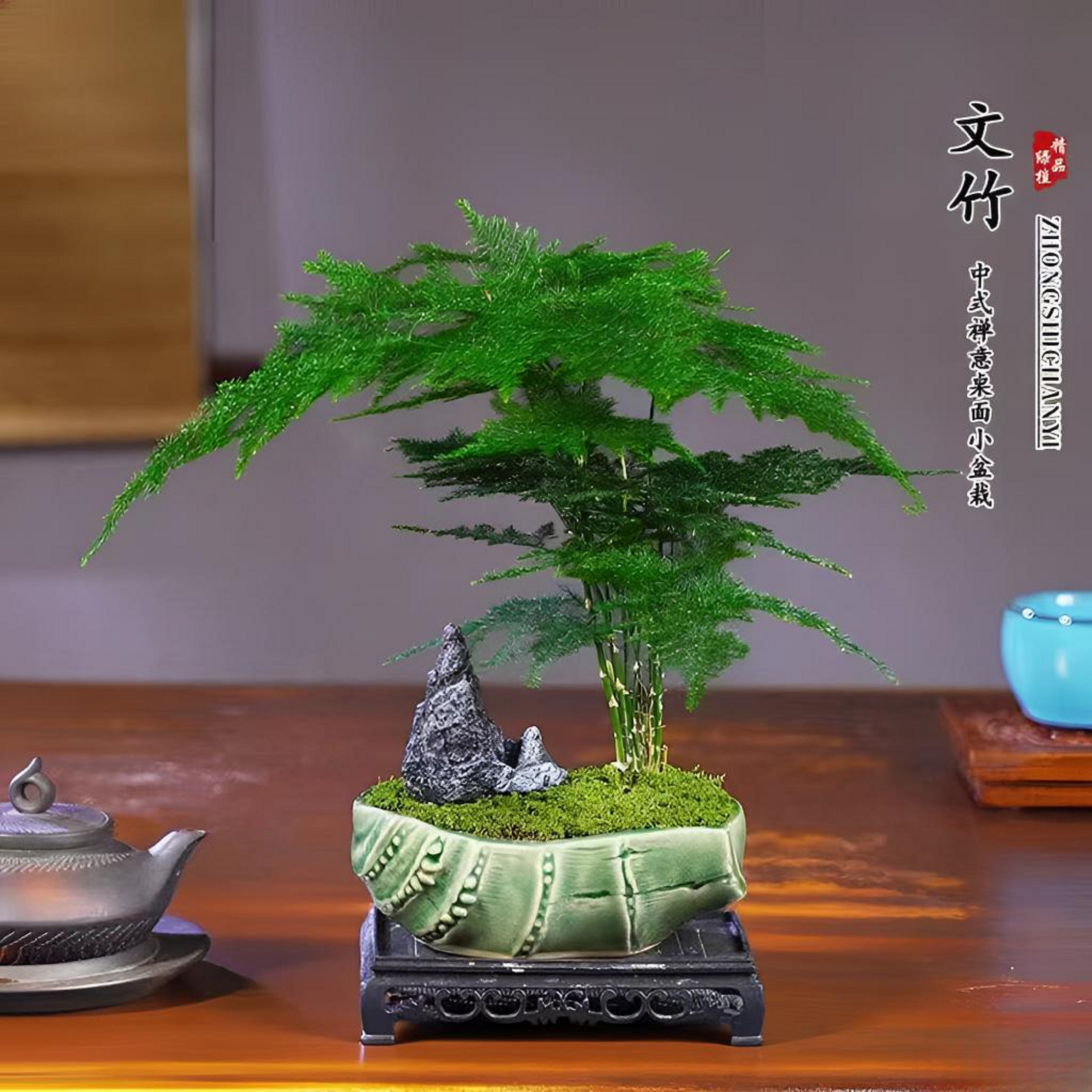 文竹创意微景观四季常青小绿植