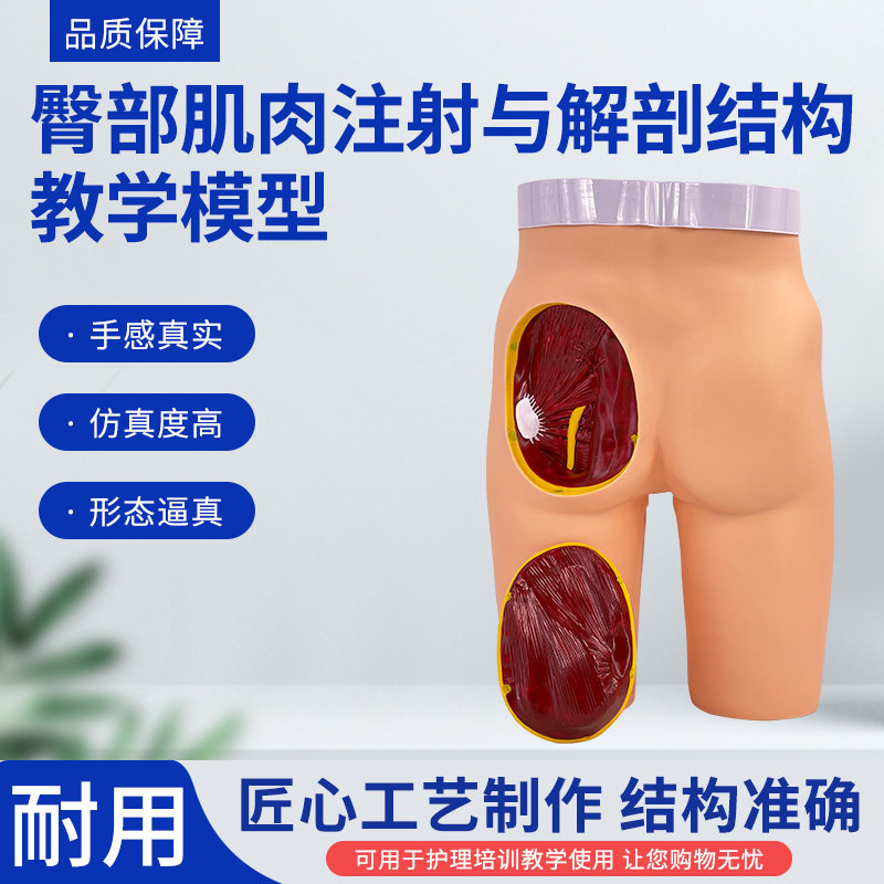 黄河高级臀部肌肉注射模型教学