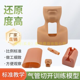 环状软骨气管切开术训练模型 高级环甲膜穿刺及气管切开插管模型