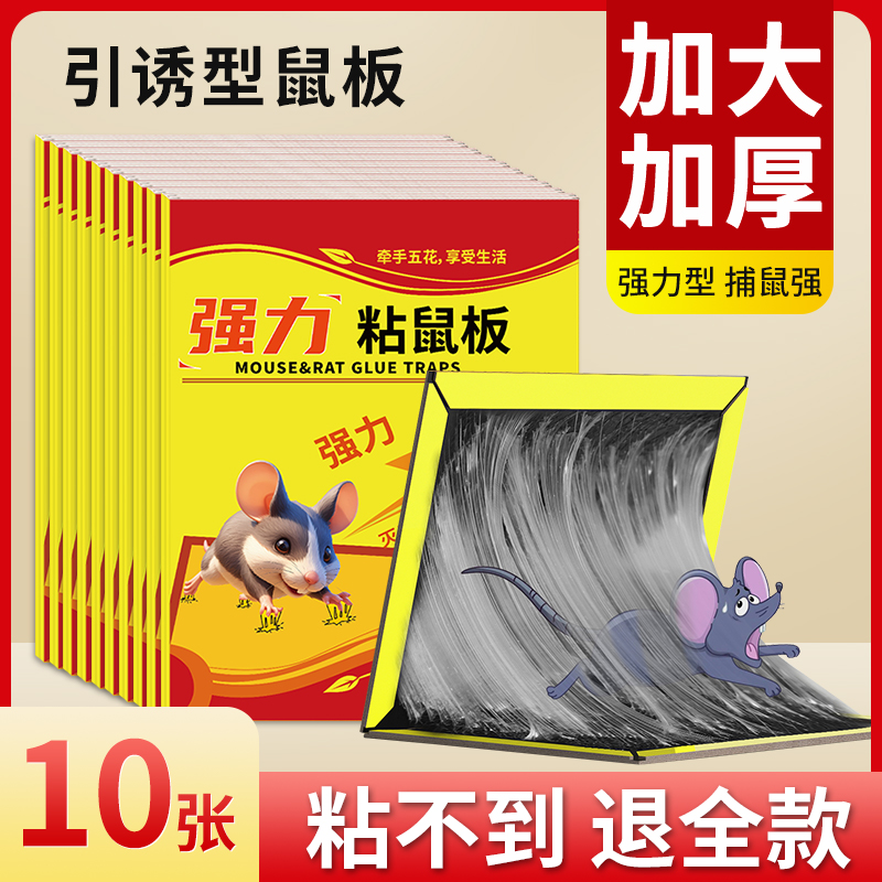 強力粘鼠板大號老鼠貼