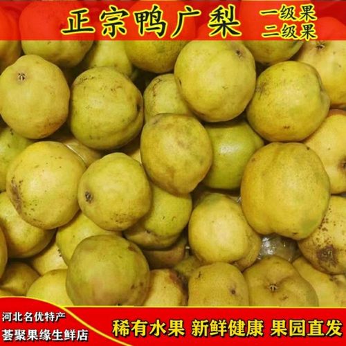 梨河北特产渣子酒香疙瘩鸭儿