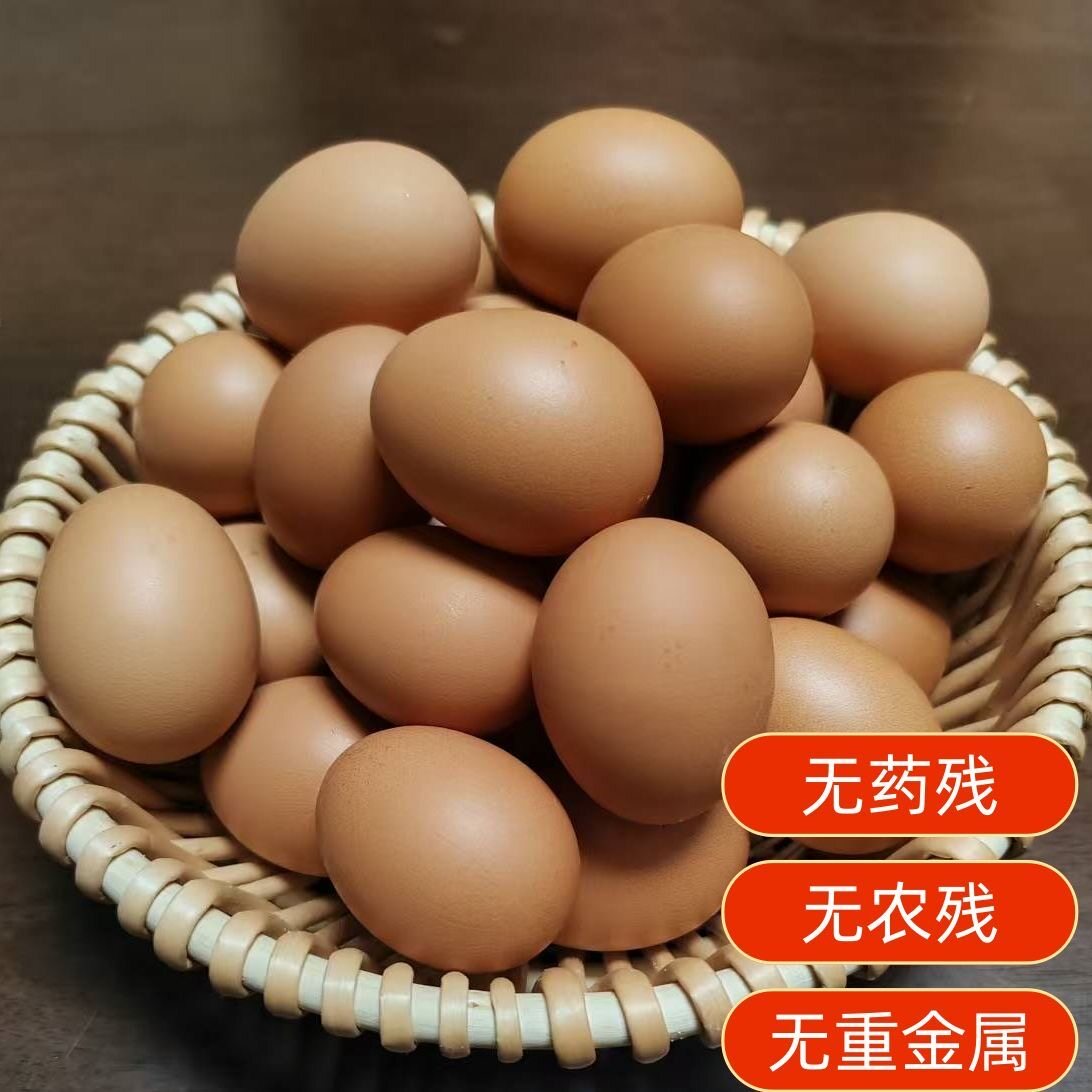 新鲜红皮优质洋鸡蛋60g无腥味大个散养鸡蛋无抗散养土鸡红褐壳蛋