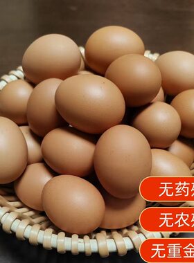 新鲜红皮优质洋鸡蛋60g无腥味大个散养鸡蛋无抗散养土鸡红褐壳蛋