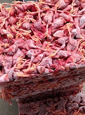 冷冻小鸡仔脱毛鸡新鲜日龄鸡喂猫狗生骨肉猫狗蛇鹰甲鱼娃娃鱼饲料