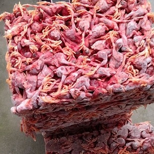 冷冻小鸡仔脱毛鸡新鲜日龄鸡喂猫狗生骨肉猫狗蛇鹰甲鱼娃娃鱼饲料