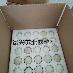 绍兴麻鸭蛋新鲜土鸭蛋产蛋王金定品种鸭子蛋公母混养可食可孵鸭蛋