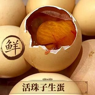 生的孵化鸡蛋活珠子生毛蛋13天土鸡孵化生胚胎鲜活发货钢化蛋
