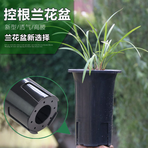 兰花花盆塑料兰花盆PP树脂5个