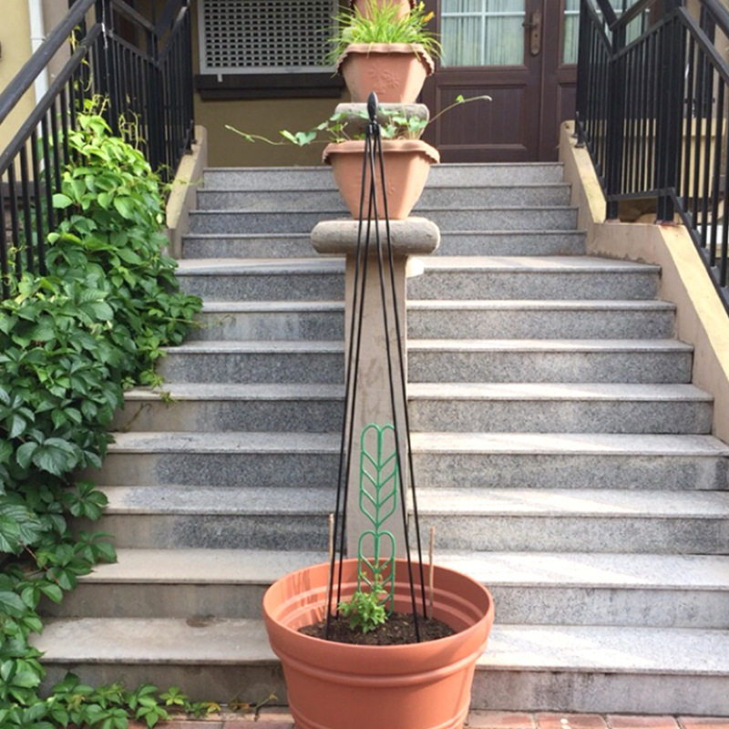 园艺支架四脚花塔爬藤植物适用植物花架铁线莲牵牛爬藤