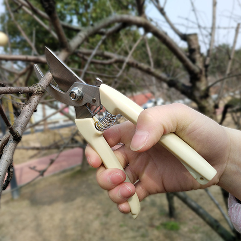 园艺剪刀直头 弯头 花枝剪刀修剪树枝剪刀园林剪子剪果树剪刀剪