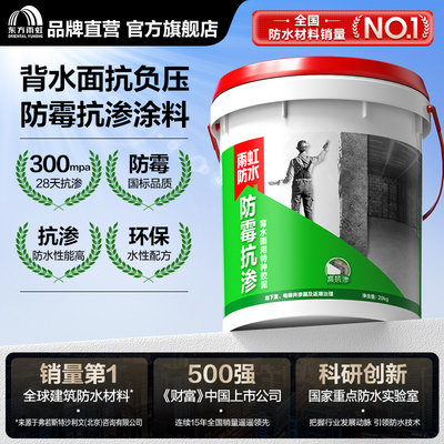 东方雨虹防霉抗渗背水面用特种胶泥防水抗压防渗漏地下室电梯井