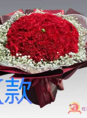 生日探望康乃馨福建宁德花店送花蕉城区霞浦县古田县同城鲜花速递