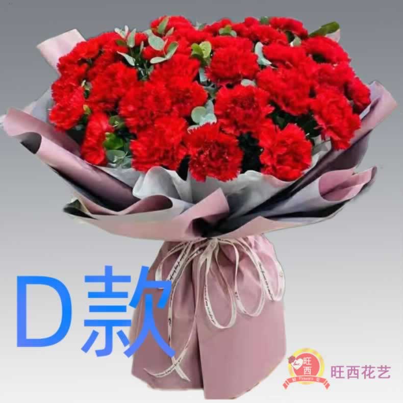 生日探望康乃馨湖北荆门花店送花钟祥市东宝区掇刀区同城鲜花速递