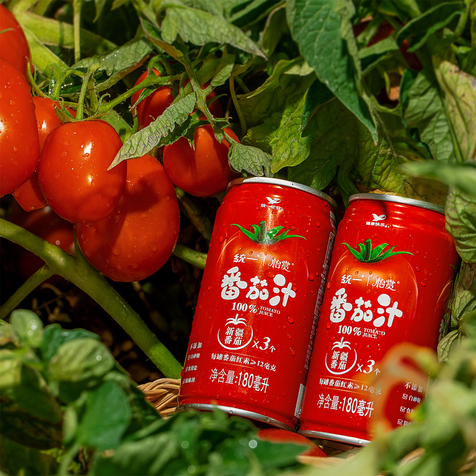 统一番茄汁新疆番茄180ml罐果汁100%果蔬汁健康无添加饮品