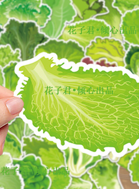 100张生菜贴纸创意绿色健康蔬菜涂鸦装饰diy手账手机壳防水贴画