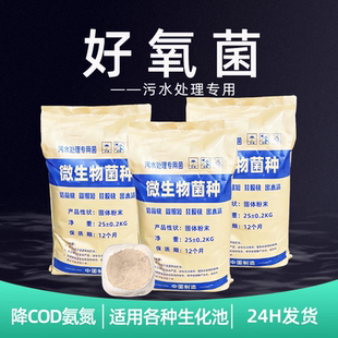 好氧菌种生活化工养殖印染污水好氧池活性菌种污泥菌种降COD氨氮