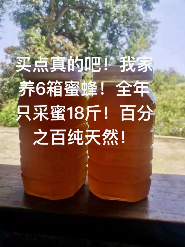 农家大山自产蜂蜜蜂糖2025年采蜜天然蜂蜜1斤蜂蜜油菜花蜜健康蜜