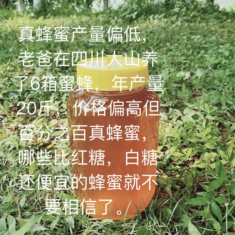 四川大山蜂蜜纯正天然农家自产孕妇无添加正宗洋槐土蜂蜜油菜花蜜