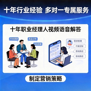 企业服务品牌战略规划文案策划产品营销体系市场调研PPT服务指导