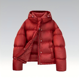 新年战衣 M60 轻奢高级感简约90白鸭绒连帽外套 丽丽姐专享