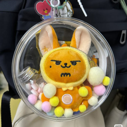 三丽鸥春儿高透明收纳保护包莱阳公仔挂件毛绒玩偶外出展示遛娃包