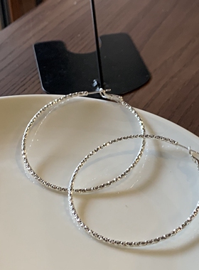 欧美夸张大圆圈耳环女高级感chic耳圈极简百搭耳坠小众冷淡风耳饰