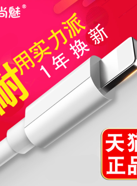 适用苹果iPad数据线Air/mini/2/3/4/5/6/Pro平板电脑iPhone7手机8快充xs充电器11/12正品xr充电线13pro充电头