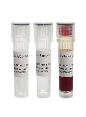 Biosharp/白鲨 BL1233A RapidCut BglII 快速限制性内切酶