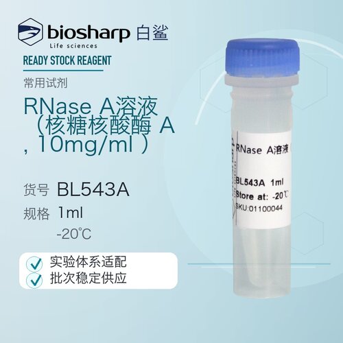 核糖核酸酶A溶液Biosharp