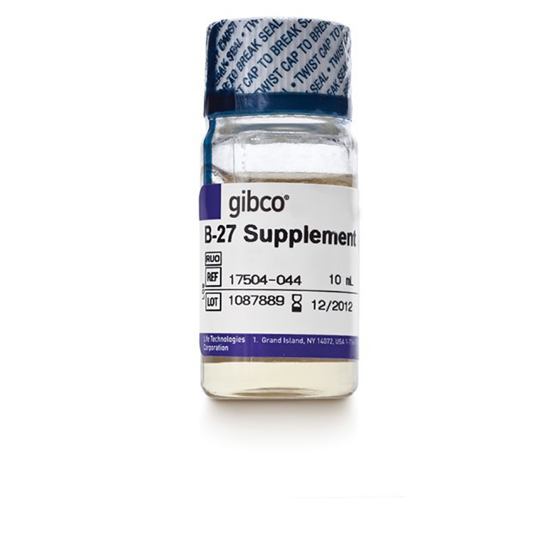 Gibco 17504-044 B-27无血清添加剂（50X）10ml