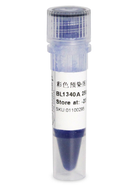 白鲨Biosharp BL1340A 彩色预染蛋白Marker Ⅱ (10-250kDa) 250ul