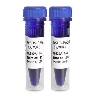 BL530A 无气味 BL530B PAGE蛋白上样缓冲液 5×SDS Biosharp白鲨