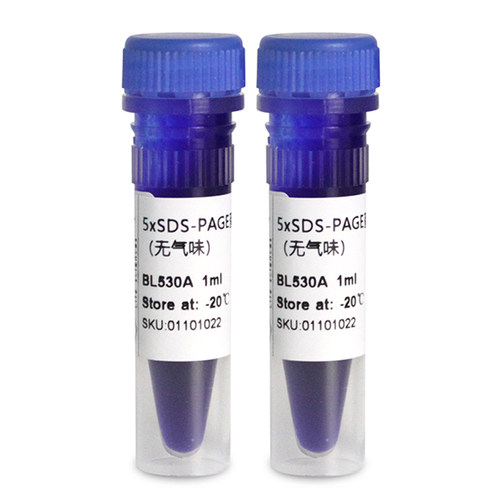 Biosharp白鲨 BL530A BL530B 5×SDS-PAGE蛋白上样缓冲液(无气味)