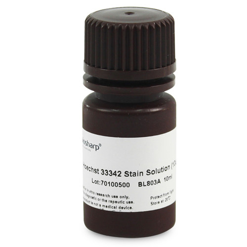 白鲨 Biosharp BL803A Hoechst 33342染色试剂（即用型 10ug/ml）