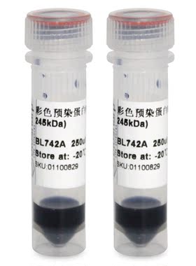 白鲨Biosharp BL742A/B BL742C 彩色预染蛋白Marker（5-245kDa）