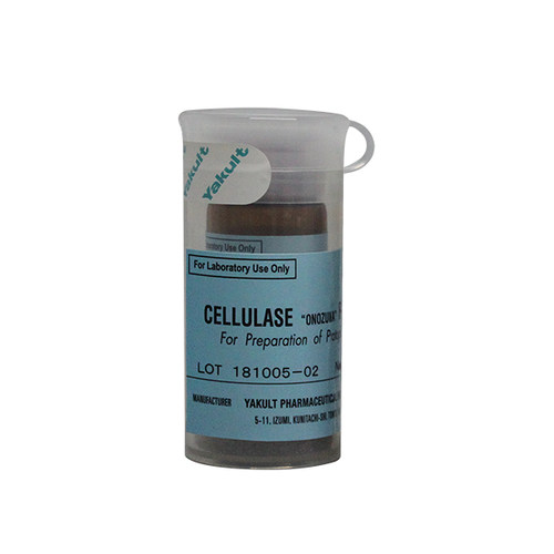 Yakult/养乐多 纤维素酶R-10 Cellulase R-10 离析酶R-10