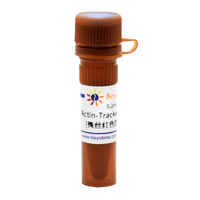 碧云天beyotime C2203S Actin-Tracker Red-555 微丝红色荧光探针