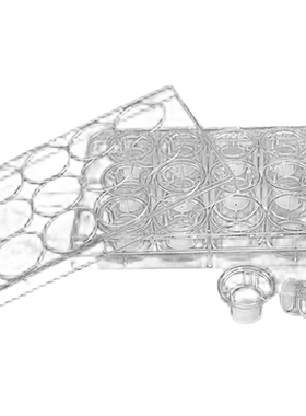 LABSELECT 14224细胞培养小室含12孔板PET膜不透明12mm孔径3.0μm
