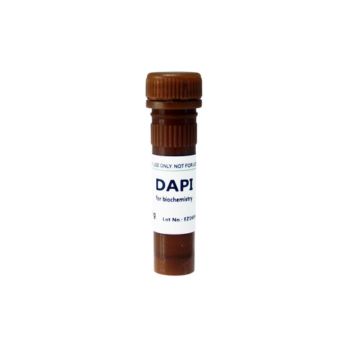 Biofroxx 1155MG010 DAPI 4,6-二脒基-2-苯基吲哚 10mg28718-90-3
