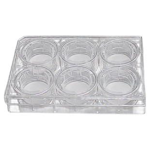 LABSELECT甄选 14141 细胞培养小室 含6孔板(PC膜24mm孔径8.0μm)