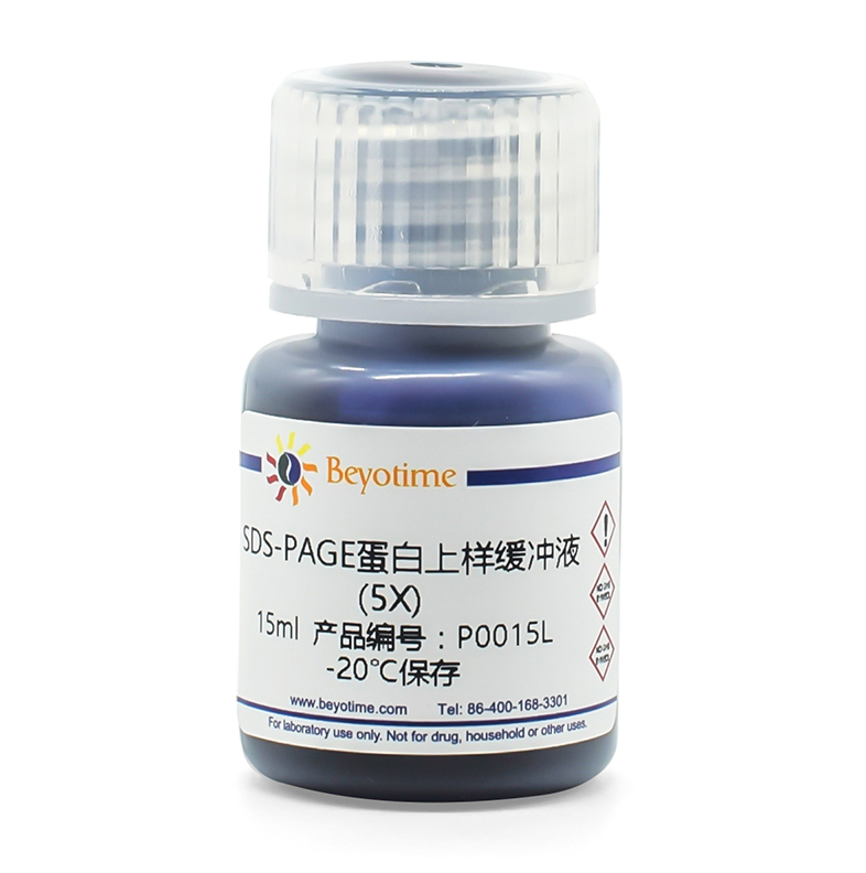 碧云天Beyotime  P0286 SDS-PAGE蛋白上样缓冲液(5X, 无气味)