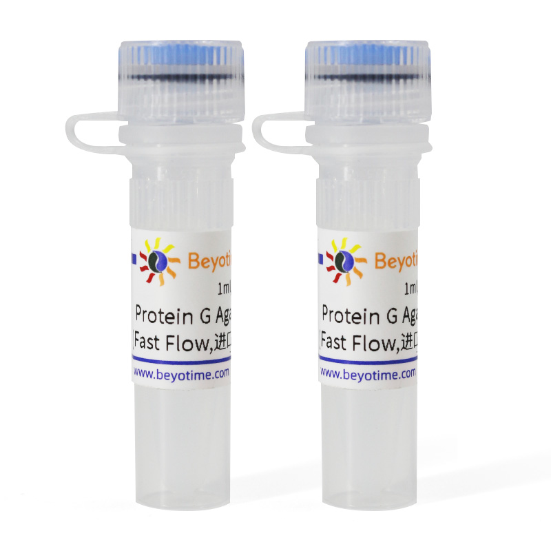 碧云天Beyotime P2009 Protein G Agarose (Fast Flow)