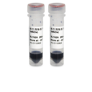 BL742C 彩色预染蛋白Marker 245kDa Biosharp 白鲨 BL742B
