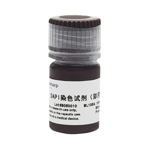 白鲨 Biosharp BL105A BL105B DAPI溶液(即用型) 4℃避光保存