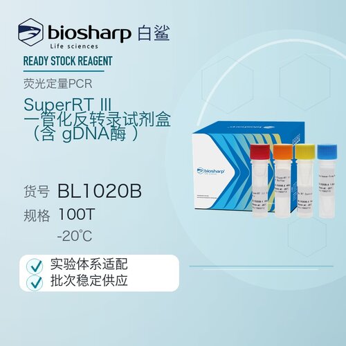 白鲨Biosharp BL1020B SuperRT III 一管化反转录试剂盒