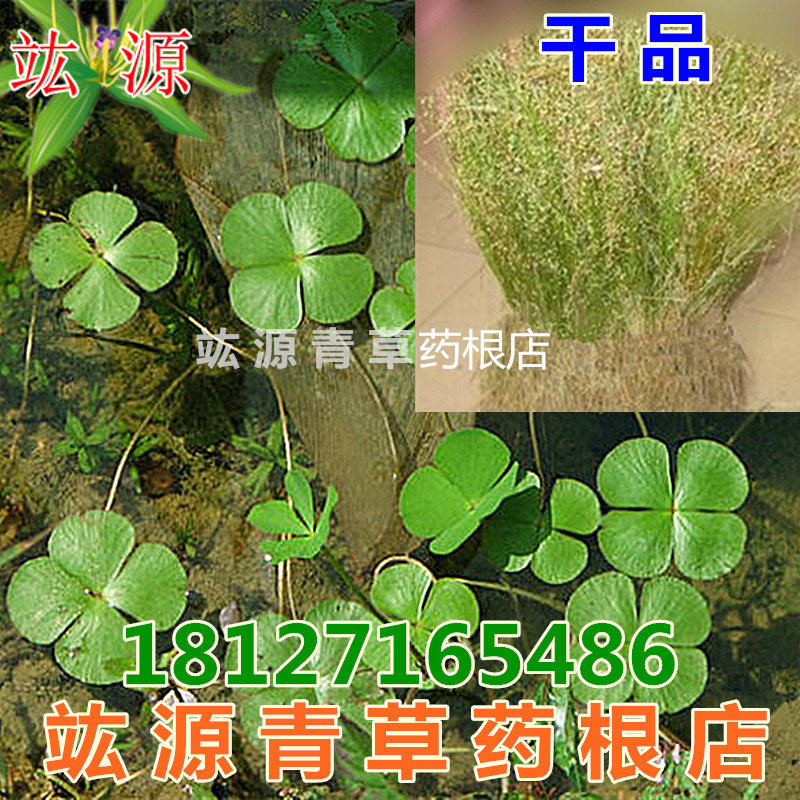 竑源青草药根店 四叶莲 田字草 四叶苹 十字草 破铜钱 干品