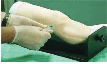 df-xg型膝关节腔内注射模型/穿刺模型