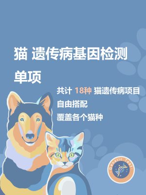 猫咪基因检测遗传病18种单项宠物