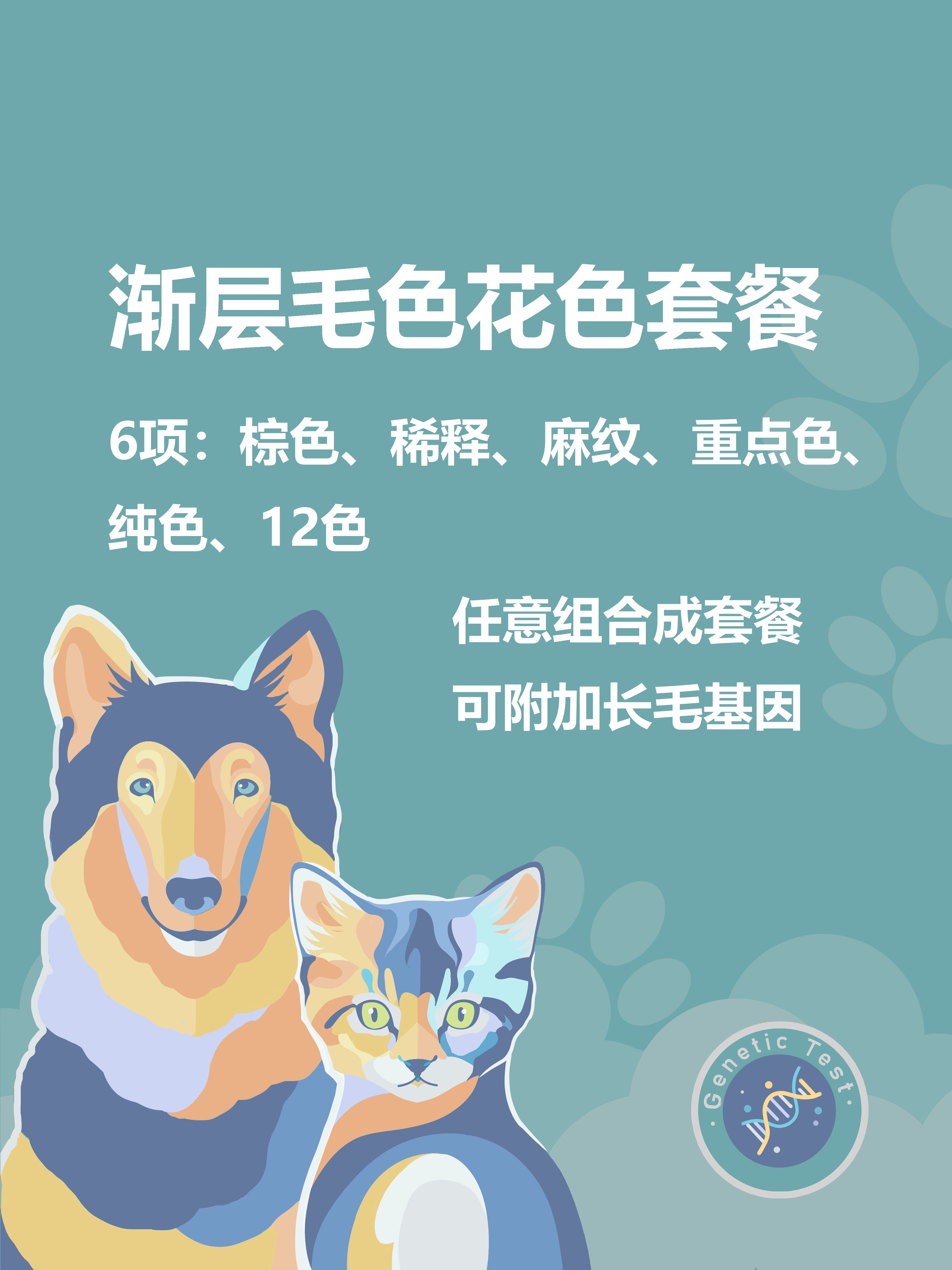 猫咪猫基因检测蓝金紫金渐层毛色