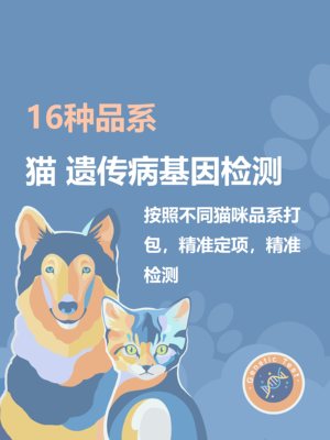 16种品系猫咪基因检测宠物遗传病